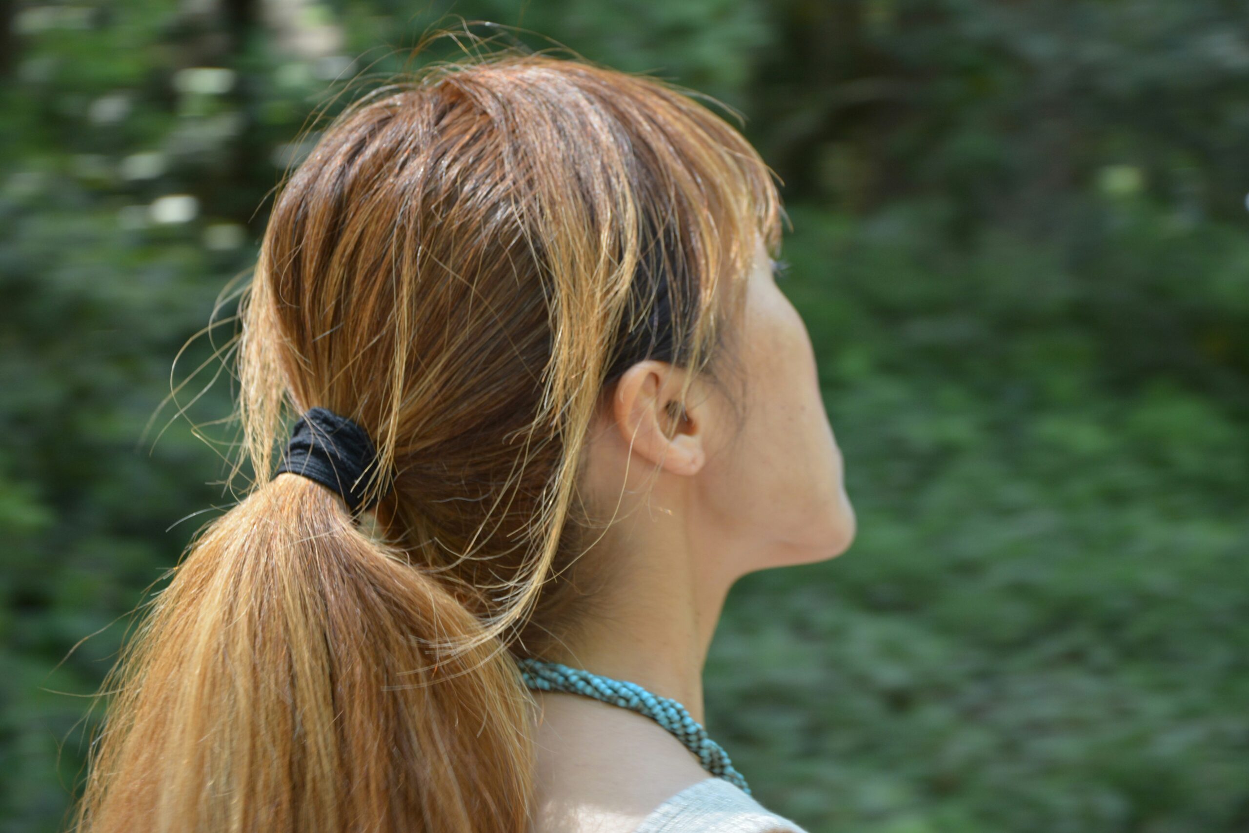 Can Bed Bugs Live in Your Hair featuring bed bug facts, myths, symptoms, prevention, and treatment information.