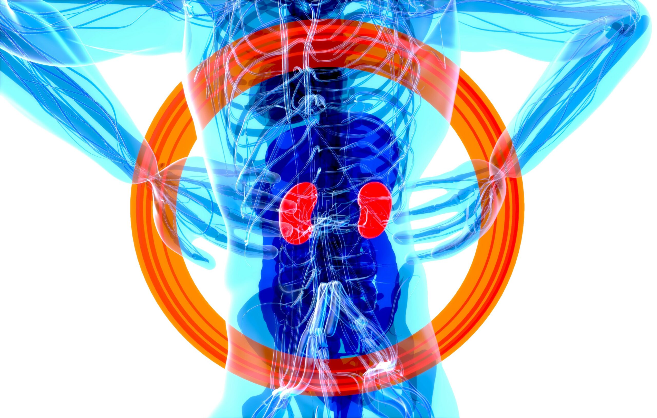 Pelvic Congestion Syndrome featuring causes, symptoms, diagnosis, treatment, chronic pelvic pain, and vein health.