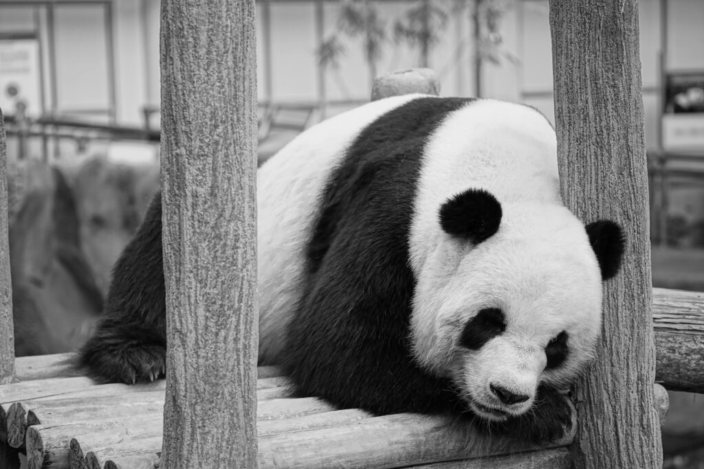 Pandas Symptoms Checklist guide to recognizing PANS/PANDAS symptoms, warning signs, and medical guidance.
